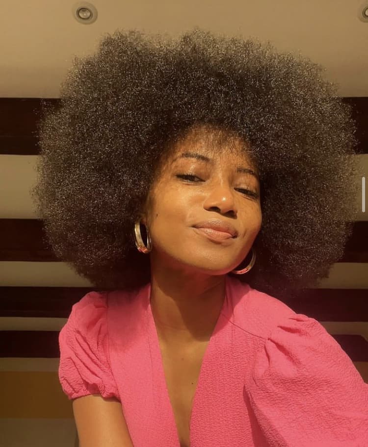 Voluminous Mid-Back Afro Shape Blowout — 4c Hair