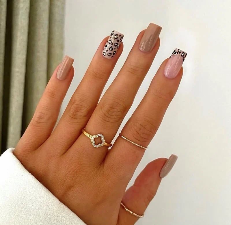 Square Taupe Leopard Accent Nails Square Taupe Leopard Accent Nails — Animal Print Nails