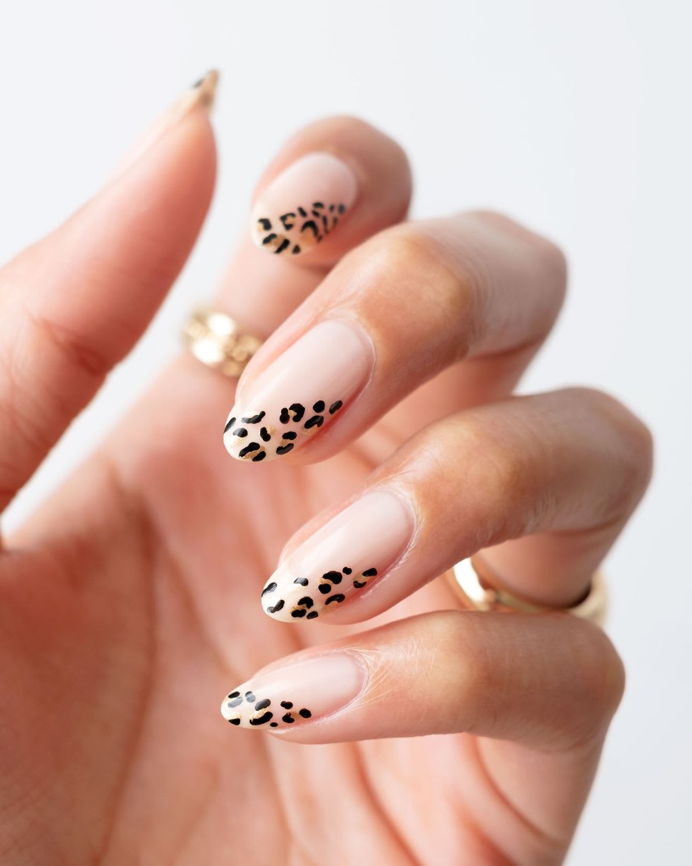 Modern Leopard Tip French Almond Nails Modern Leopard Tip French Almond Nails — Animal Print Nails