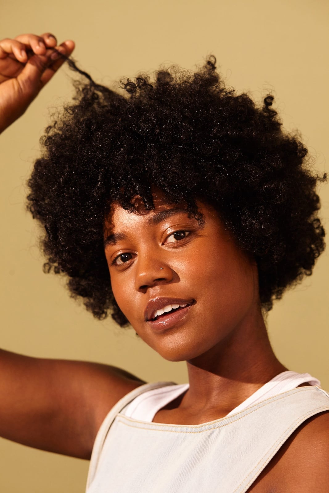 Dark Curly Afro With Volume — Black Hair