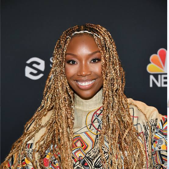 Mid-Back Honey Blonde Thick Straight Box Braids — Blonde Braids
