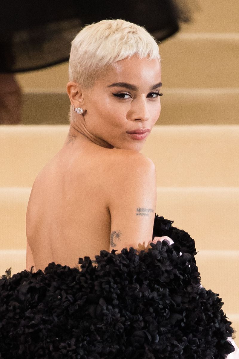 Glossy Platinum Blonde Pixie Styled Back — Blonde Short Hair