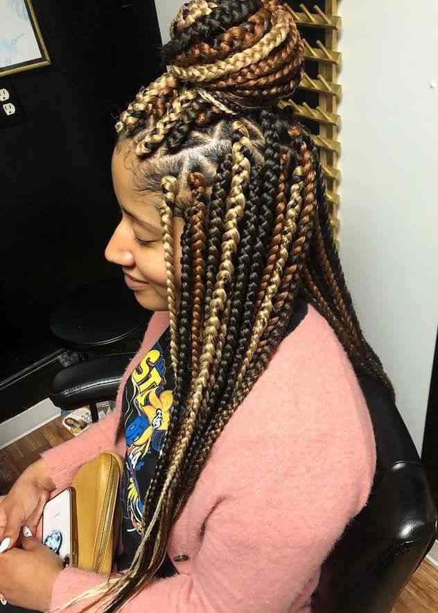 Multi-Tonal Mid-Back Box Braids Multi-Tonal Mid-Back Box Braids — Box Braids Hairstyles