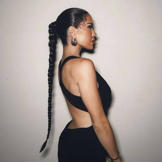Long Thick Sleek Braided Ponytail — Braided Ponytail Hairstyles Black