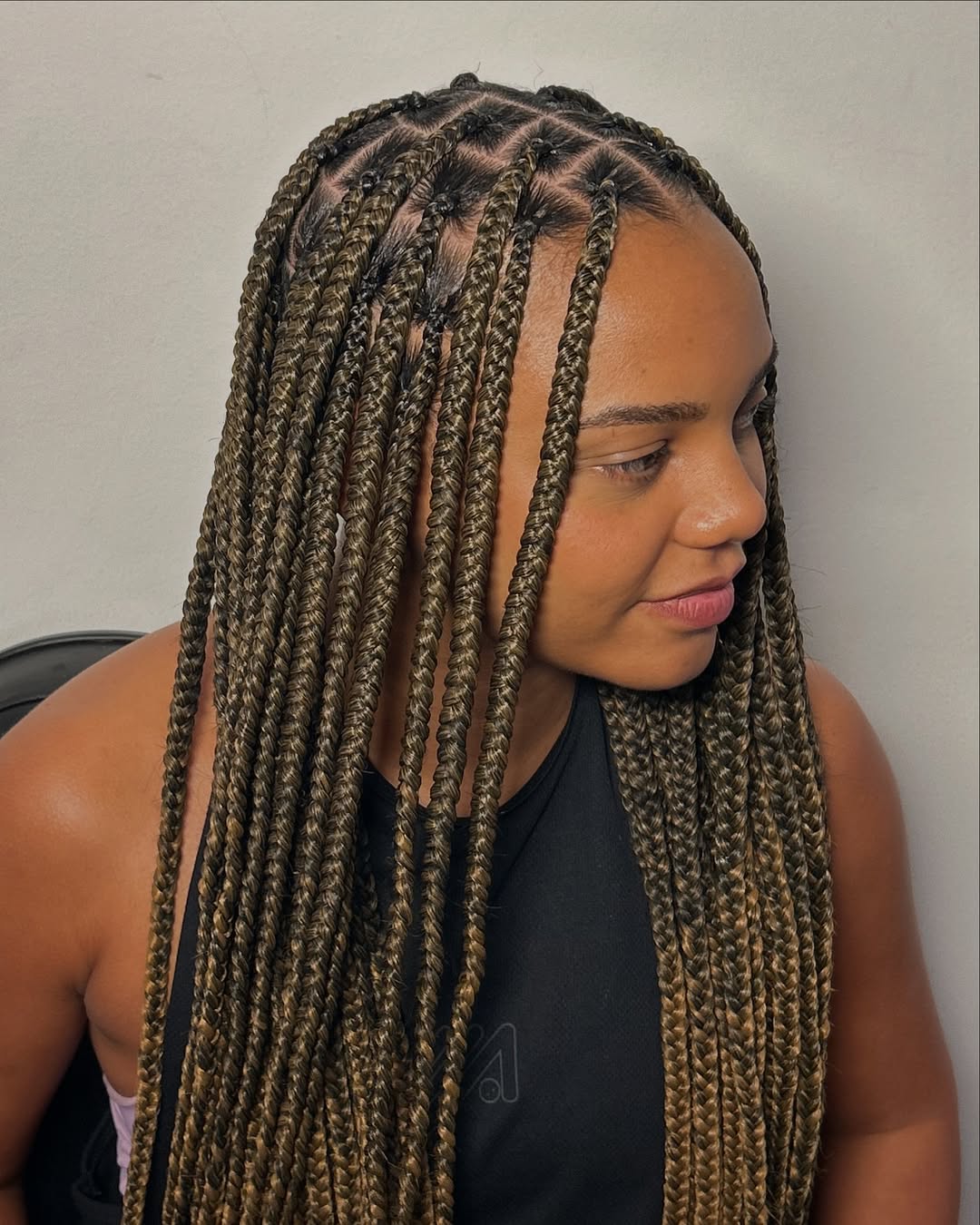 Brown Box Braids With Blonde Highlights Brown Box Braids With Blonde Highlights — Braiding Hair