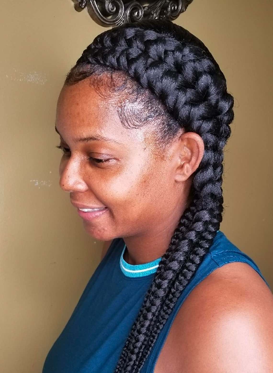 Shoulder Length Two Large Braids — Braids on Natural Hair