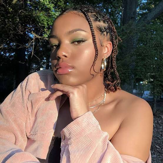 Shoulder Box Braids with Blonde Highlights, Straight — Braids on Natural Hair