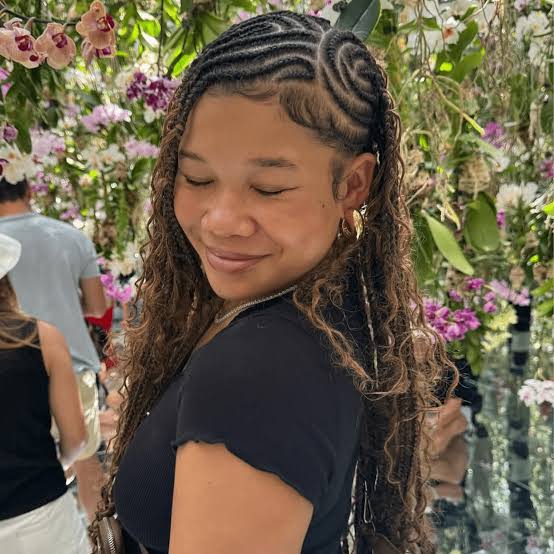 Dark Brown Box Braids With Highlights — Braids on Top