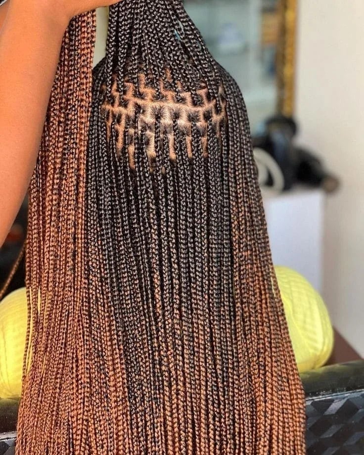 Knotless Braids With Ombre Color — Braids to the Back