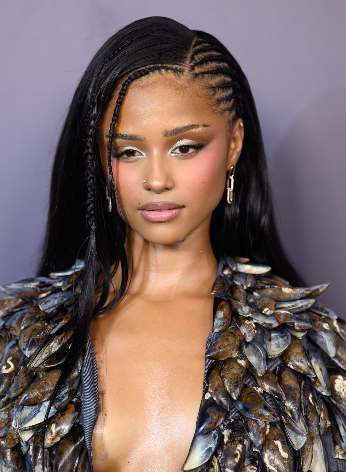 Long Black Hair With Side Cornrows Long Black Hair With Side Cornrows — Braids to the Side