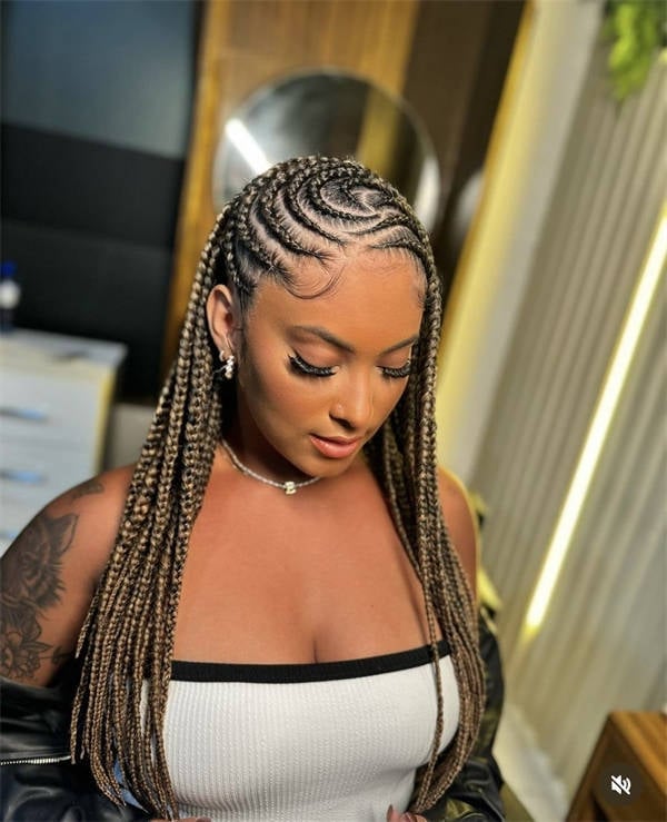 Mid-Back Dark Brown Braids With Highlights Mid-Back Dark Brown Braids With Highlights — Braids to the Side