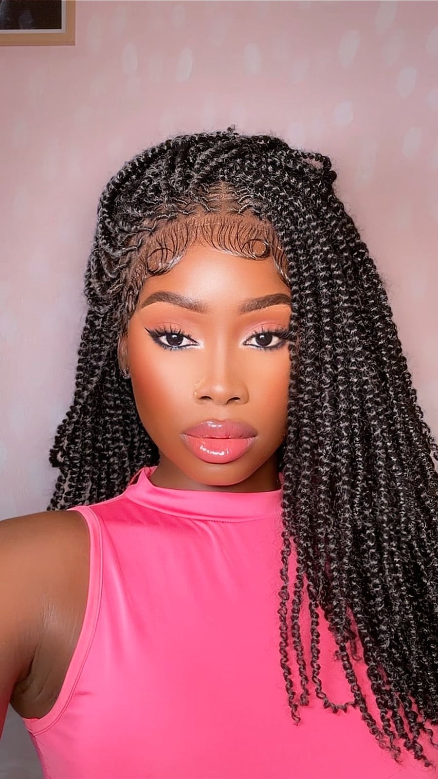 Black Braids With Gray Highlights and Lace Front — Braids Wig