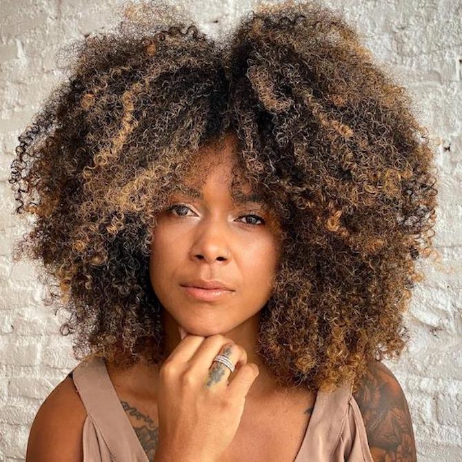 Thick Collarbone Dark Brown Curls, Layers — Brown Curly Hair