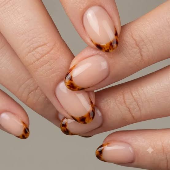 Black and Brown Tortoiseshell French Oval Nails — Brown French Tip Nails