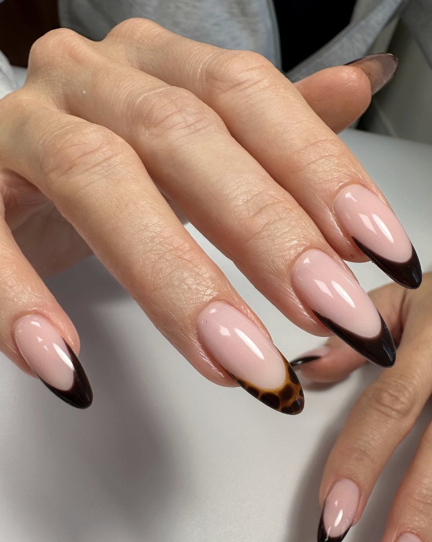 Deep Brown Tortoiseshell French Tip Long Oval Nails — Brown French Tip Nails