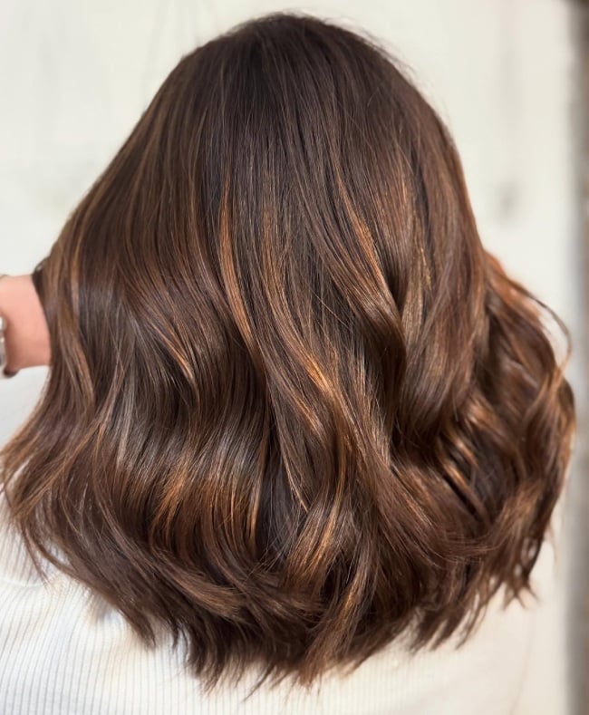Mid-Back Medium Brown With Seamless Caramel Highlights — Brown Highlights