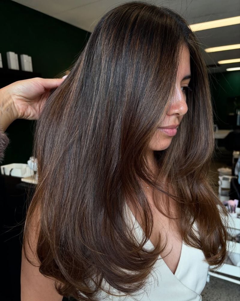 Collarbone Dark Brown With Subtle Highlights And Side Bangs — Brown Highlights