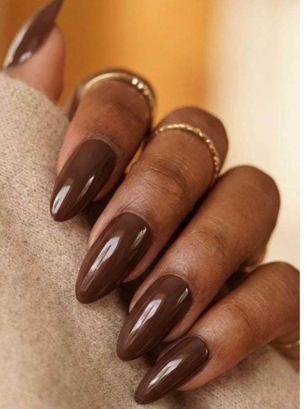 Glossy Chocolate Brown Pointed Medium Nails, Warm — Brown Nails