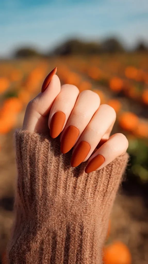 Deep Matte Burnt Orange Almond Nails Deep Matte Burnt Orange Almond Nails — Burnt Orange Nails