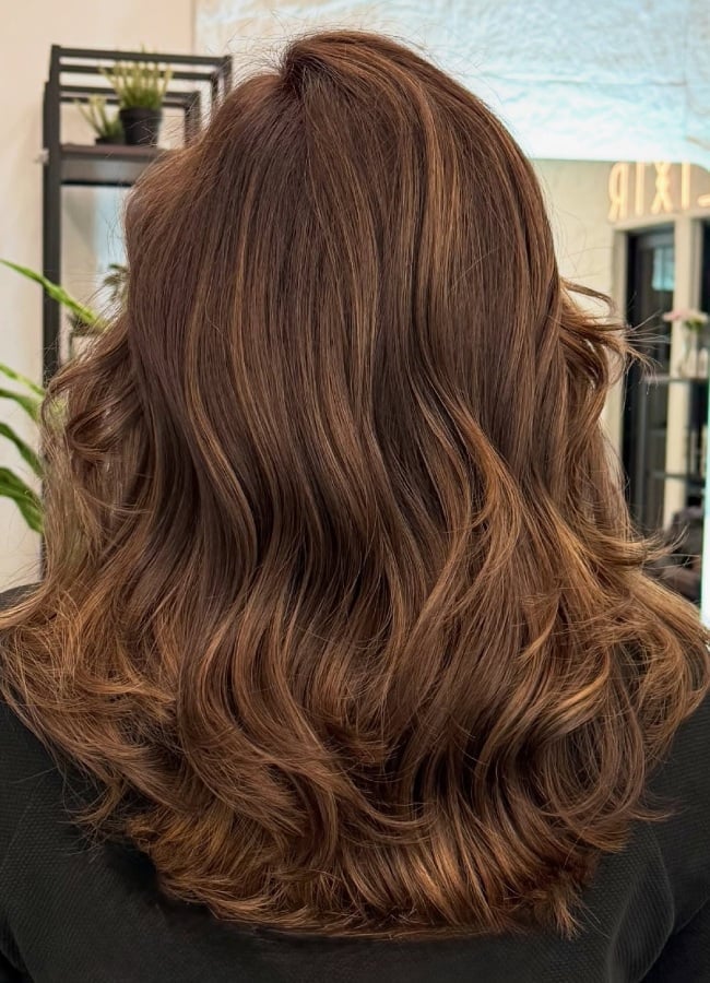 Mid-Back Brown With Dimensional Highlights, Layers — Caramel Brown Hair