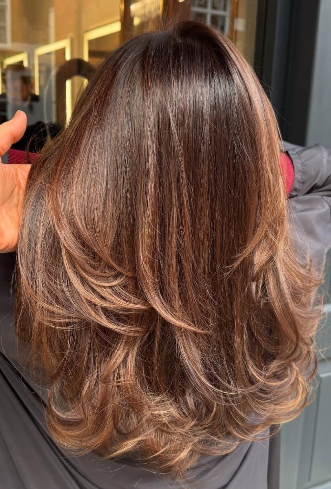 Mid-Back Cinnamon Base With Caramel Highlights — Caramel Brown Hair