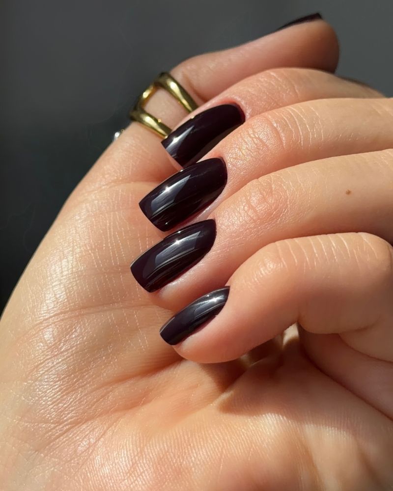 Deep Plum Brown Squoval Nails Deep Plum Brown Squoval Nails — Chocolate Nails