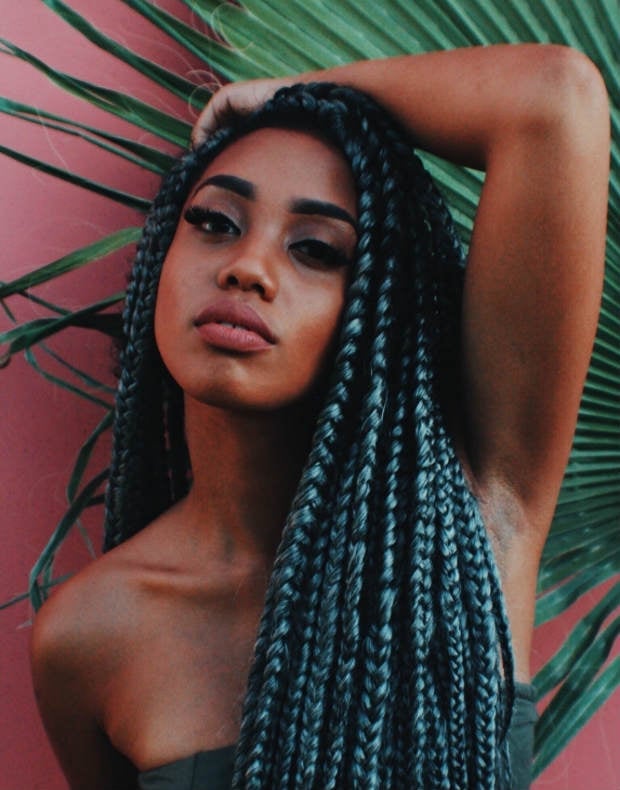 Mid-Back Box Braids With Blue and Gray Blend Mid-Back Box Braids With Blue and Gray Blend — Color Braids