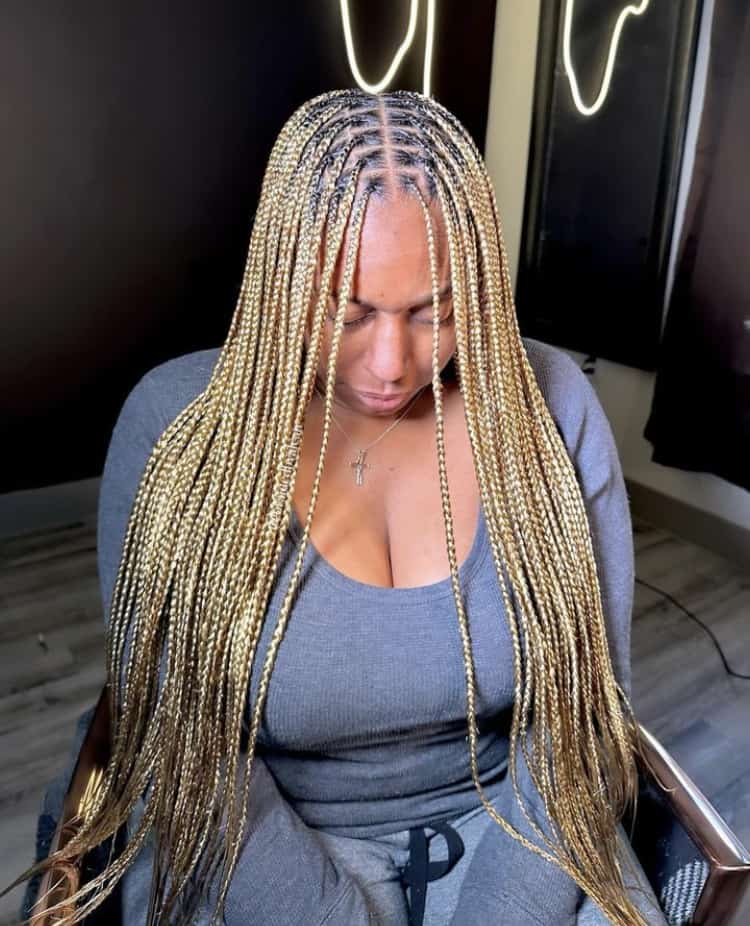 Mid-Back Box Braids With Mixed Brown and Blonde Tones, Straight Mid-Back Box Braids With Mixed Brown and Blonde Tones, Straight — Color Braids