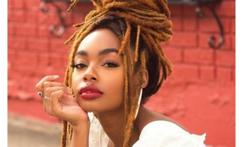 Honey Blonde Dreadlock Extensions, 100% human hair (10 locs per bundle – Curly Que Locs
