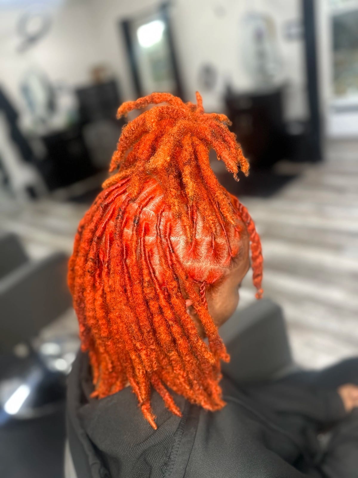The House of Locs The House of Locs — Color Locs