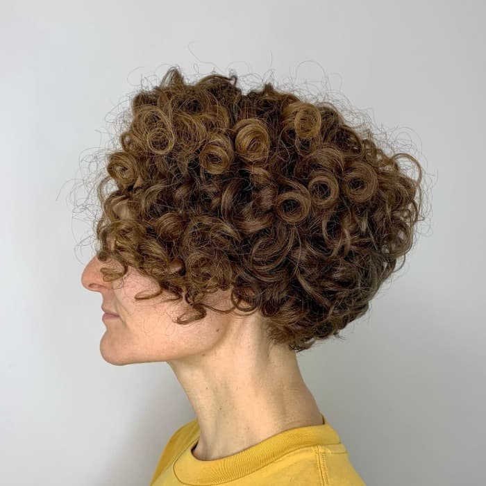 Chin Length Voluminous Curly Bob Chin Length Voluminous Curly Bob — Curly Bob Hairstyles