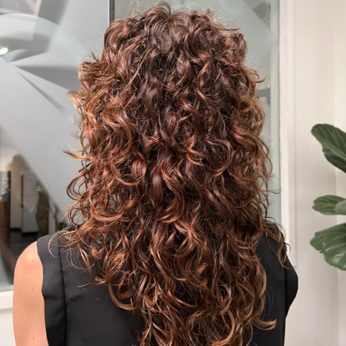Mid-Back Layers Dark Brown Auburn — Curly Hair Cutting