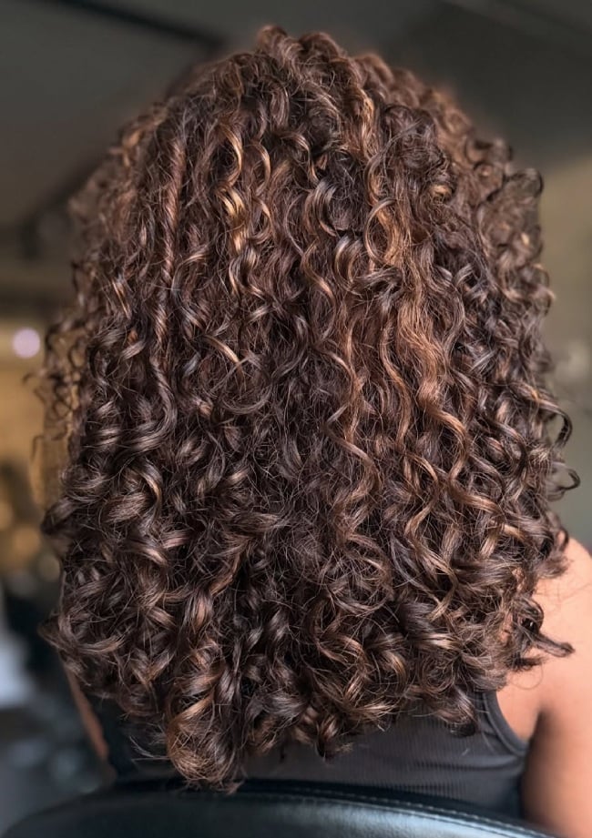 Mid-Back Caramel Brown With Lighter Caramel Highlights Mid-Back Caramel Brown With Lighter Caramel Highlights — Curly Hair Highlights