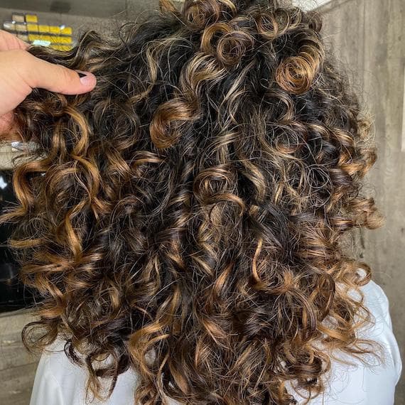 Mid-Back Dark Brown With Honey Blonde Highlights and Air Dried Mid-Back Dark Brown With Honey Blonde Highlights and Air Dried — Curly Hair Highlights