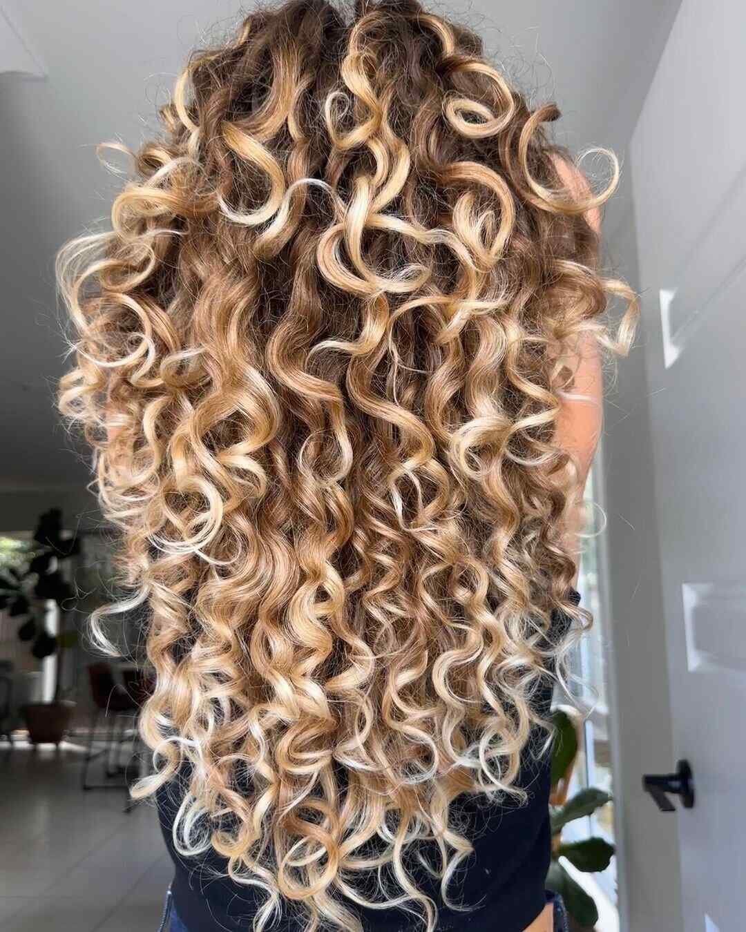Mid-Back Dark Blonde With Lighter Blonde Highlights Mid-Back Dark Blonde With Lighter Blonde Highlights — Curly Highlights