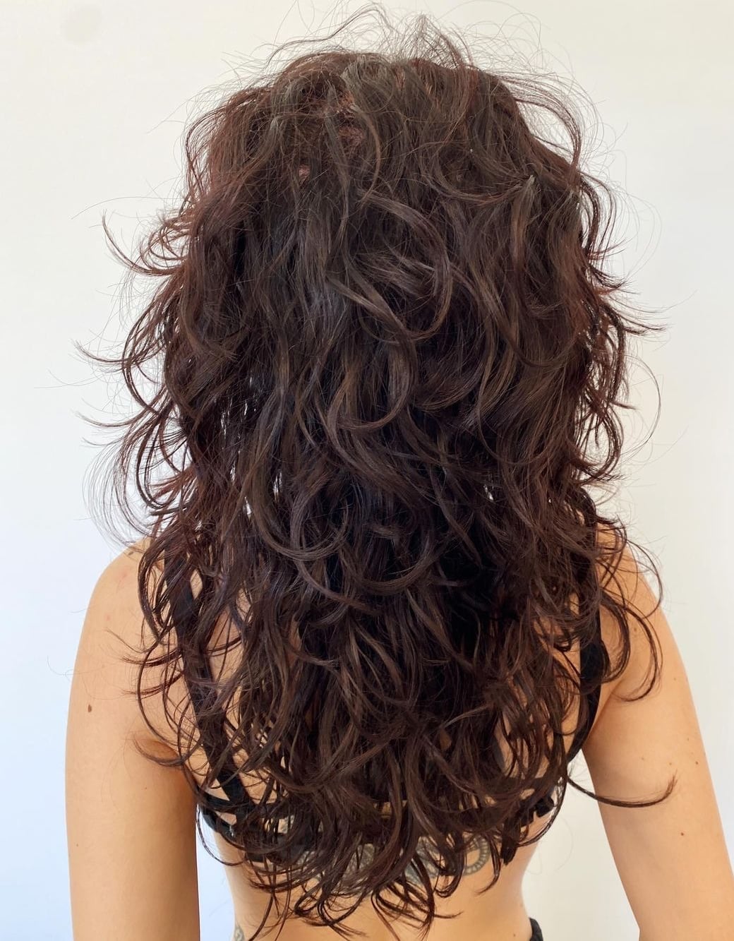 Collarbone Back View Shag — Curly Shag