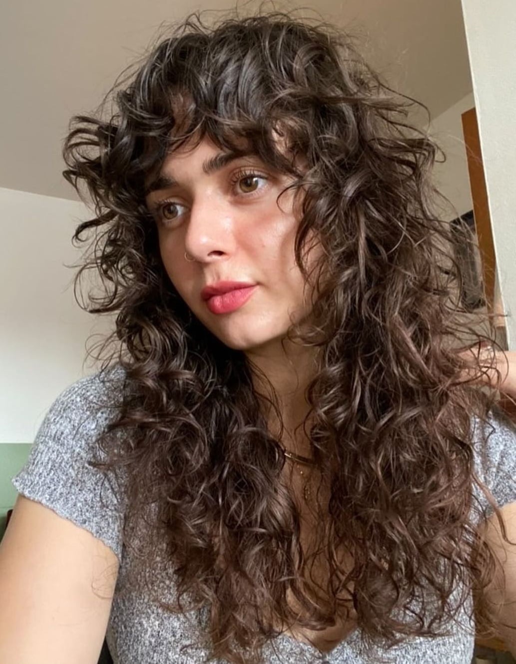 Mid-Back Dark Brown Wolf Cut With Wispy Bangs — Curly Wolf Cut