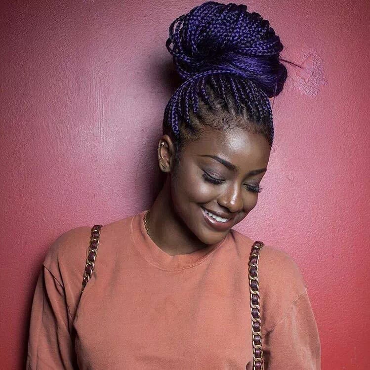 Thick Braided Updo With Vibrant Purple — Dance Hair
