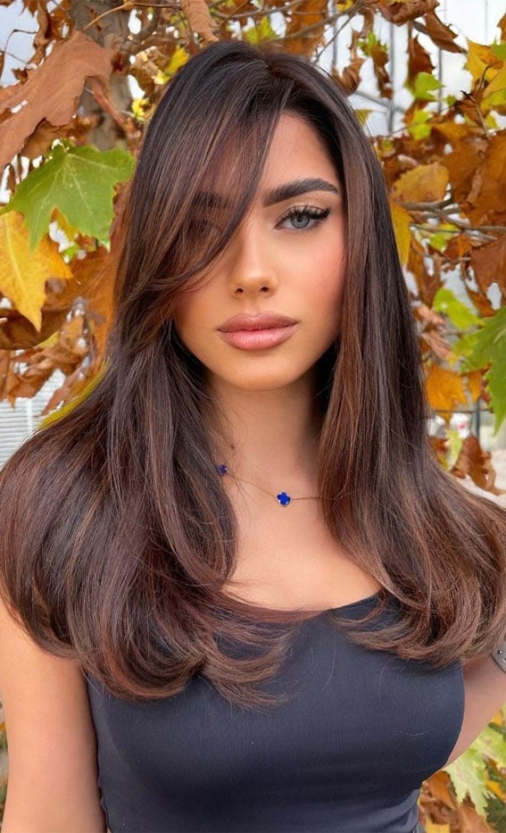 Chocolate Brown With Auburn Highlights, Mid-Back Chocolate Brown With Auburn Highlights, Mid-Back — Dark Hair Color