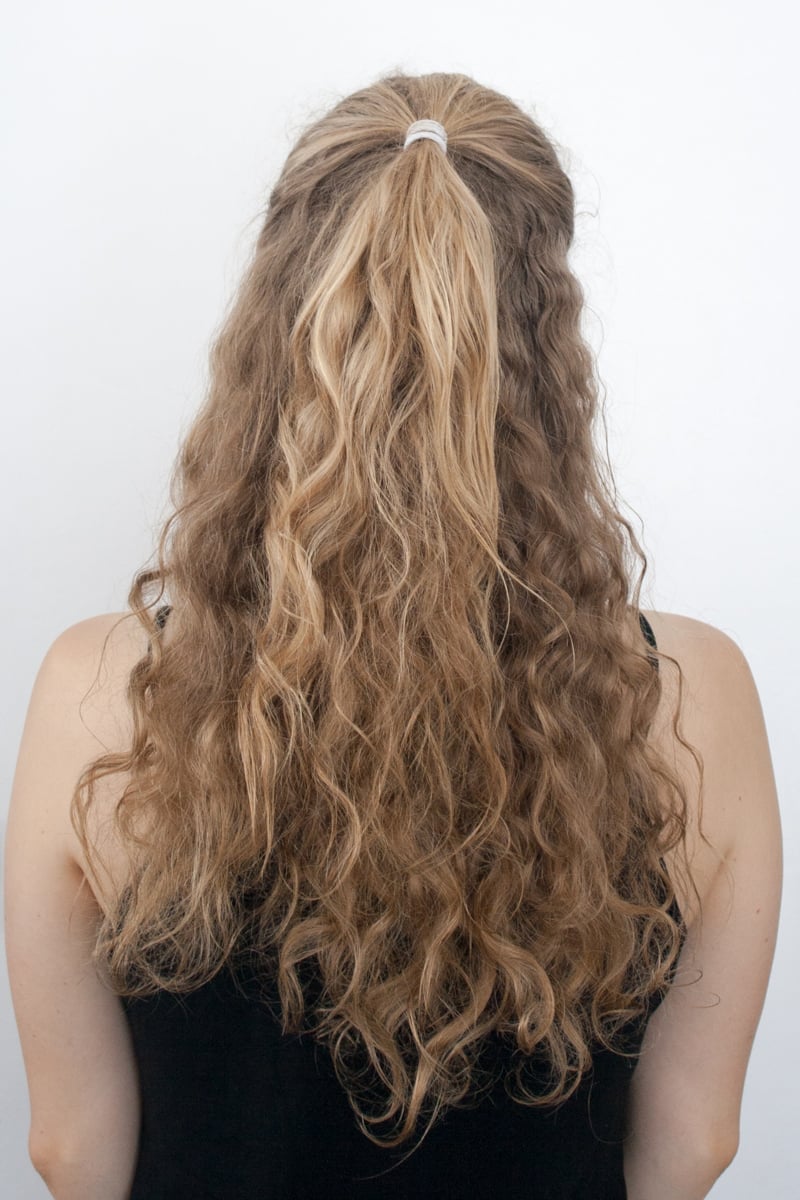 Long Curly Half-Up Ponytail Long Curly Half-Up Ponytail — Everyday Hairstyles