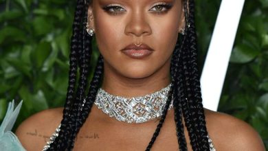 Rihanna Fun Fulani Braids - Hairstyles By TheHairStyler.com