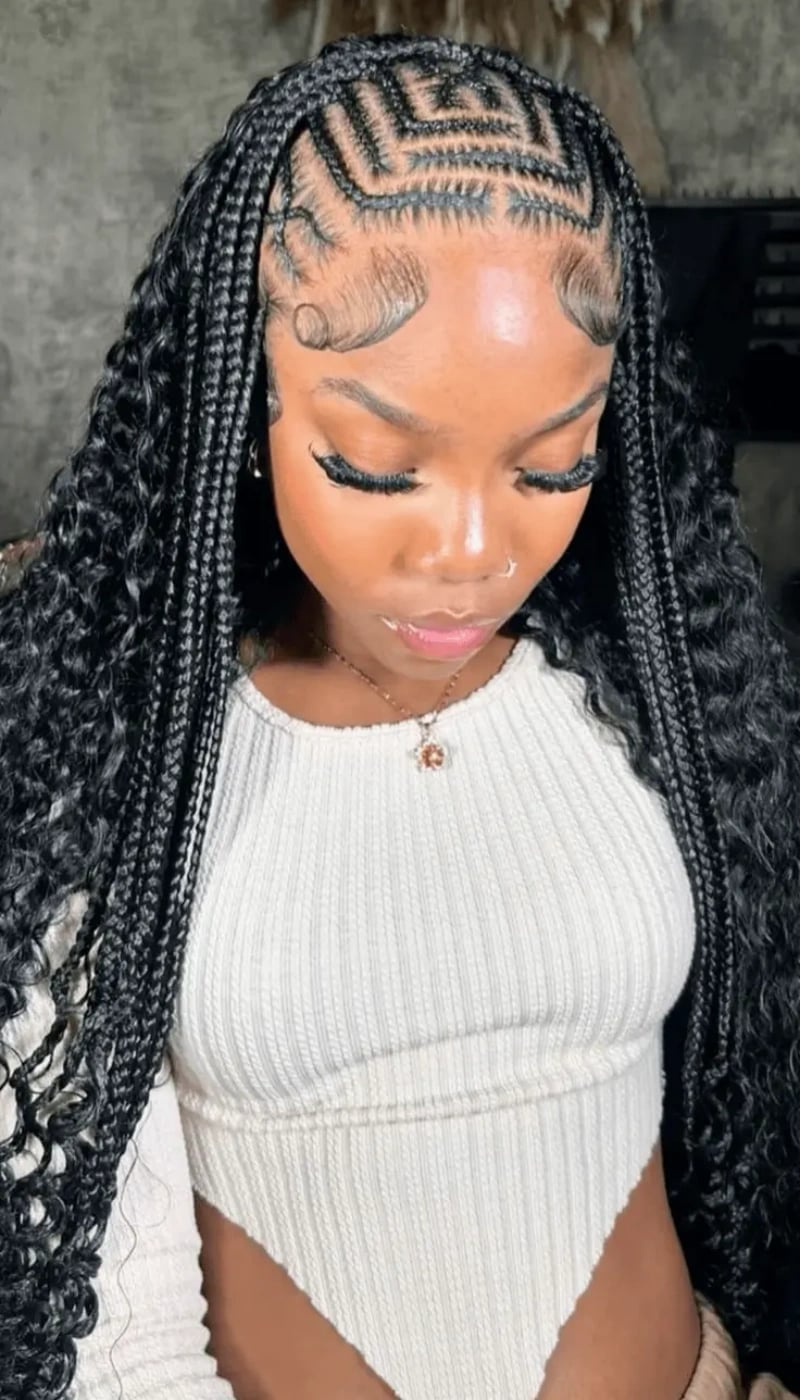 Fulani Braids with Box Braids and Coily Curls Fulani Braids with Box Braids and Coily Curls