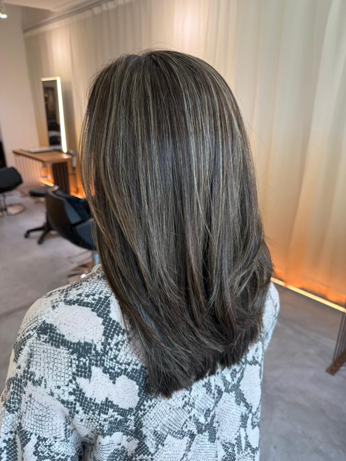 Collarbone Layers With Gray and Ash Highlights Collarbone Layers With Gray and Ash Highlights — Grey Highlights