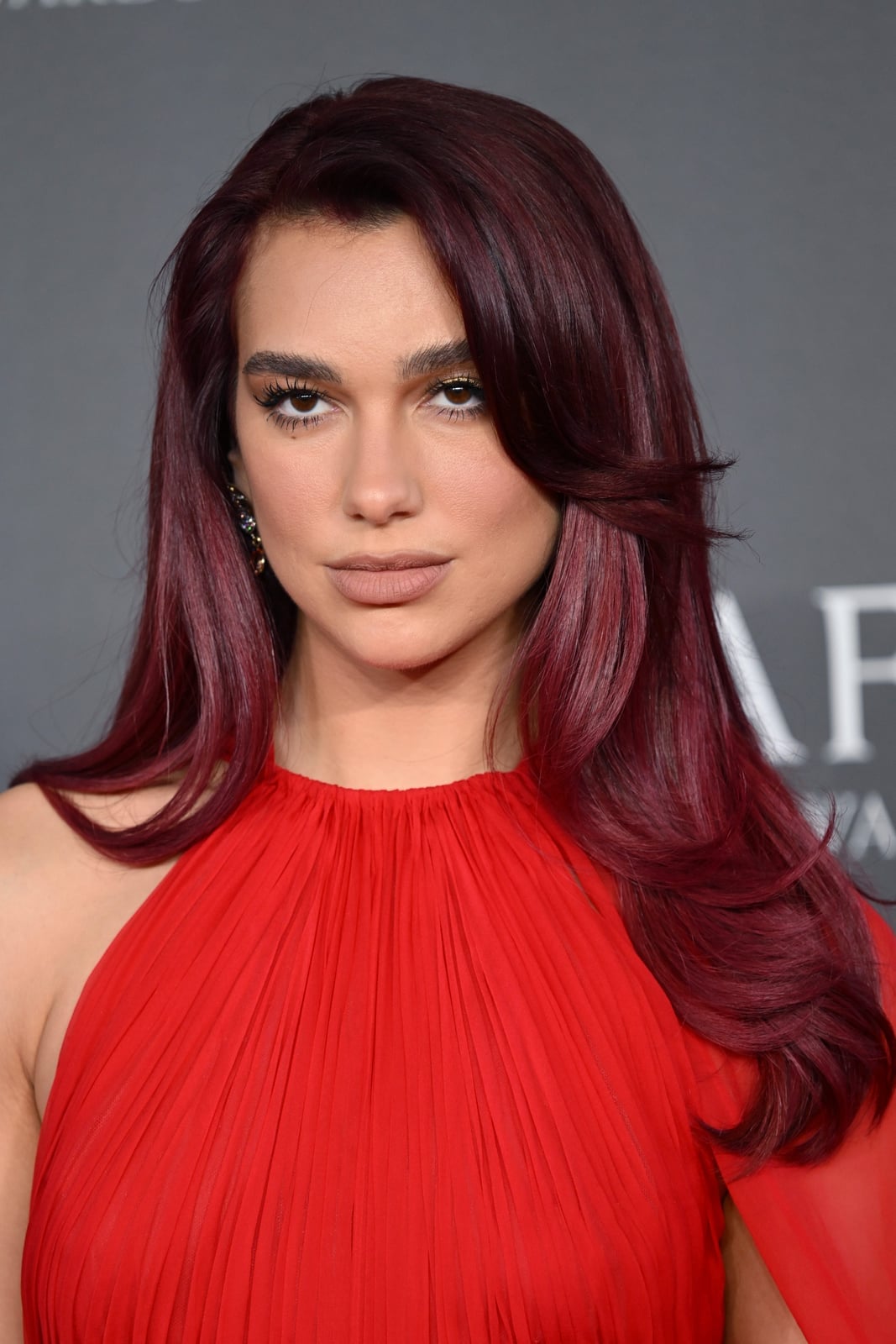 Deep Red With Subtle Auburn Undertones — Hair Color Ideas