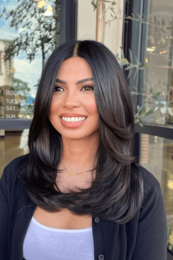 Collarbone Dark Brown Layers With Gray Highlights and Curtain Bangs — Hair Haircuts