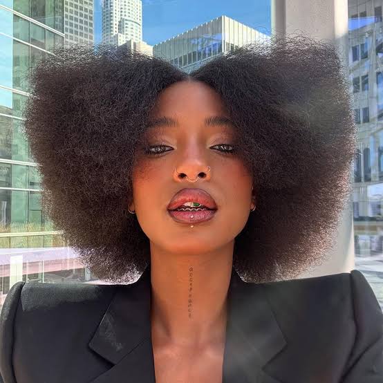 Voluminous Natural Afro Voluminous Natural Afro — Haircuts for Black Women