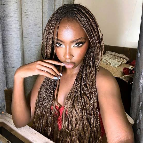 Mid-Back Micro Braids With Highlights Mid-Back Micro Braids With Highlights — Hairstyles for Black Women Braids