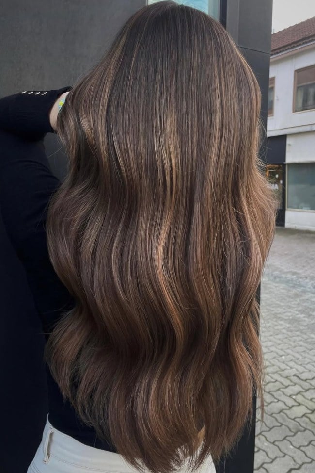 Mocha Brown Mid-Back With Caramel And Ash Blonde Highlights — Highlights Brown Hair