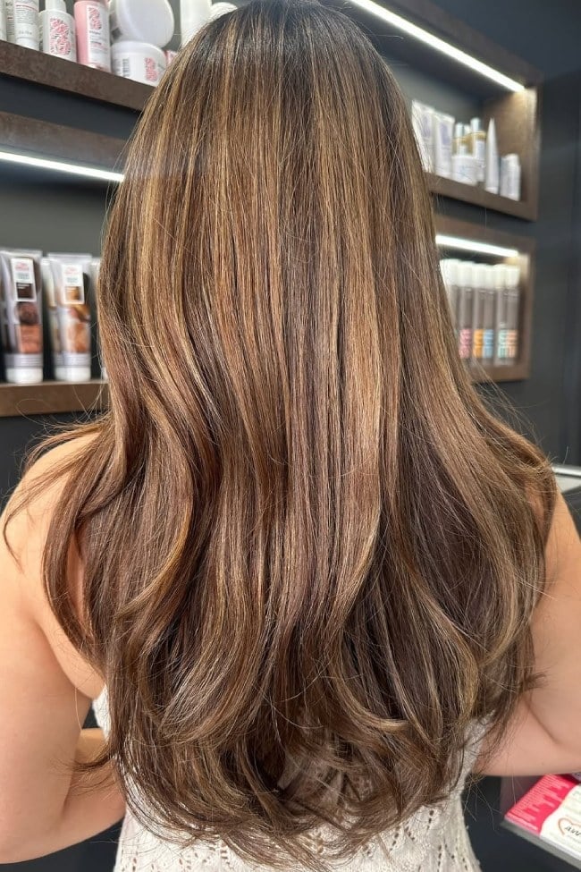 Caramel Highlights On Dark Brown Mid-Back Waves, Close-Up Take — Highlights Brown Hair