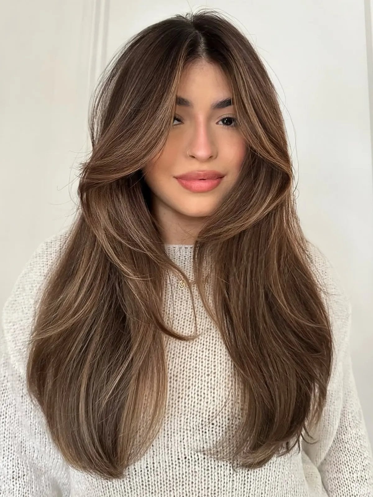 Medium Brown Mid-Back With Lighter Highlights — Highlights in Brown Hair